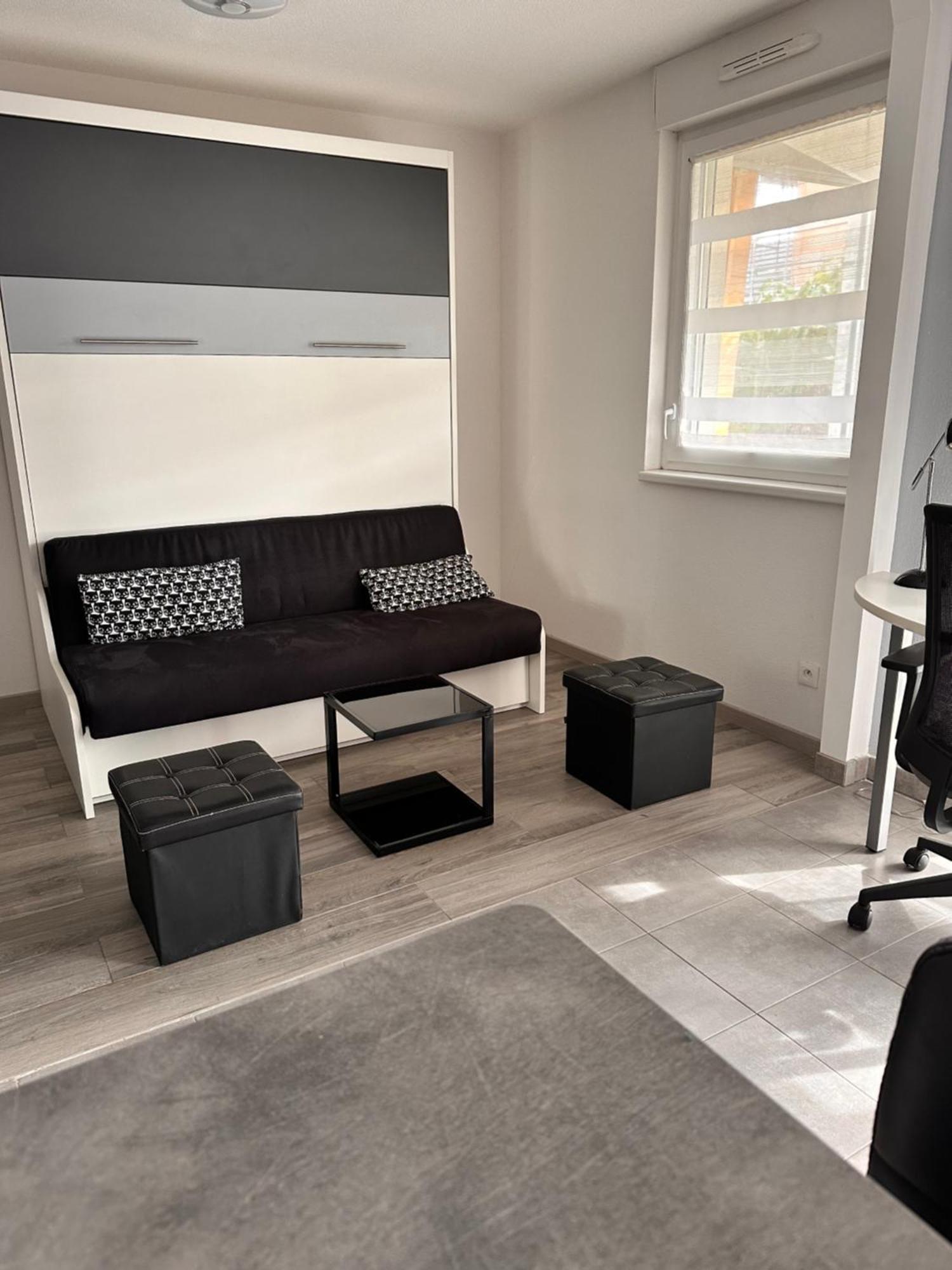 Studio Chic Et Calme Holtzwihr エクステリア 写真